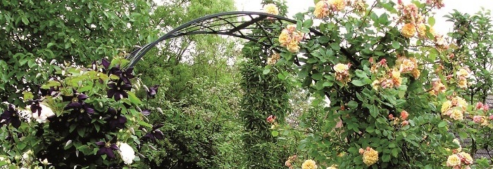 Classic Roman style rose arch with climbing roses | Classic Garden Elements | supplied + fitted in Ireland.  Chubb 087-2306 128
