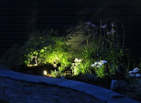 Garden Lighting | Supplied + Fitted in Stillorgan, Dublin 18 | Owen Chubb