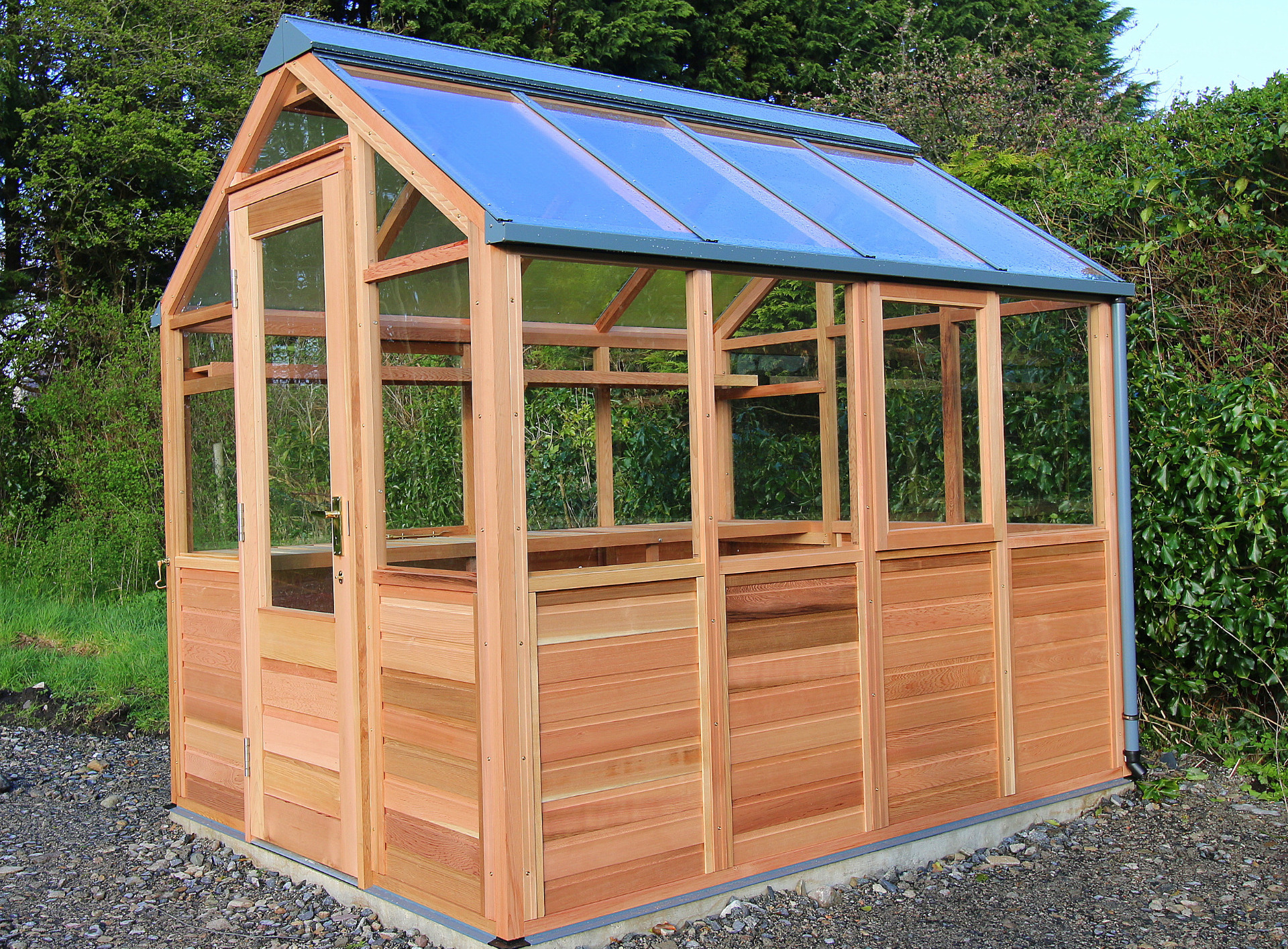 Gabriel Ash Classic Six Greenhouse in Foxford, Co Mayo on cedar base panels and fitted with hinged door |  the only timber greenhouses endorsed by the RHS | Owen Chubb  087-2306128