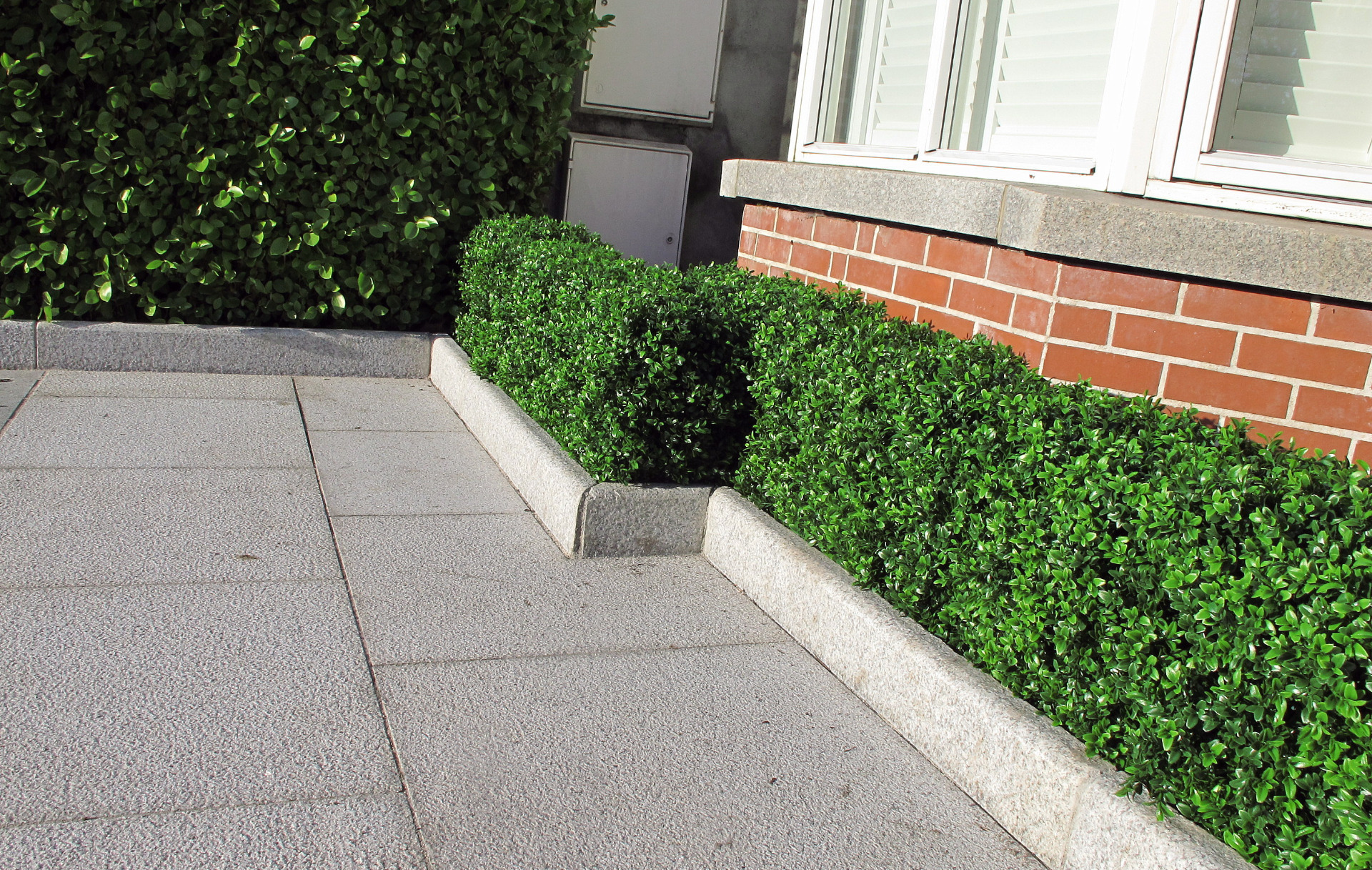 Medium synthetic Box Hedge - perfect for a lush finish and zero maintenance