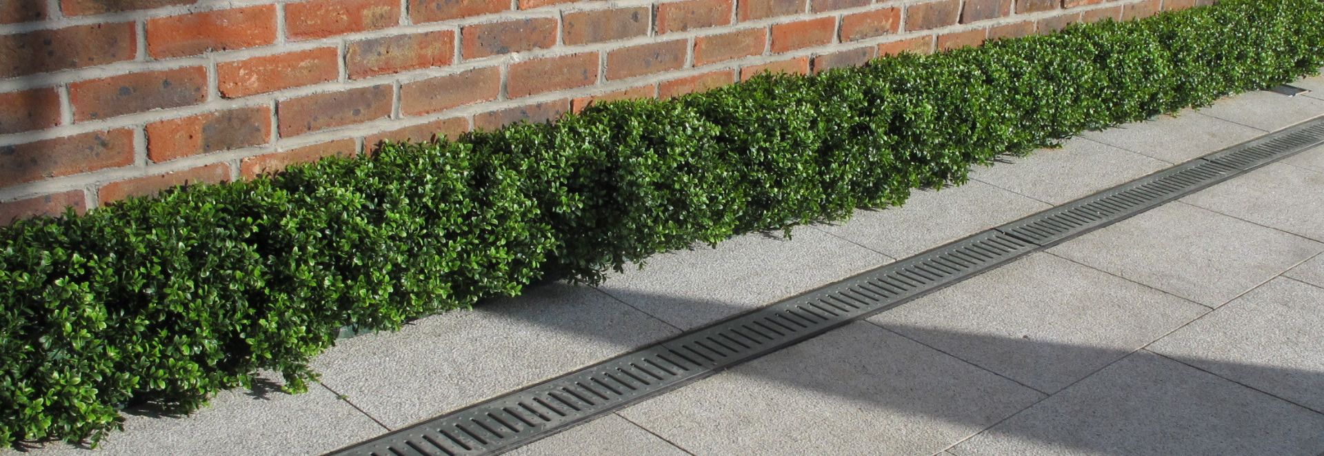 Artificial Box Hedging | Artificial Boxwood Hedges |  On sale now at Owen Chubb GardenStudio, Terenure. 087-2306 128