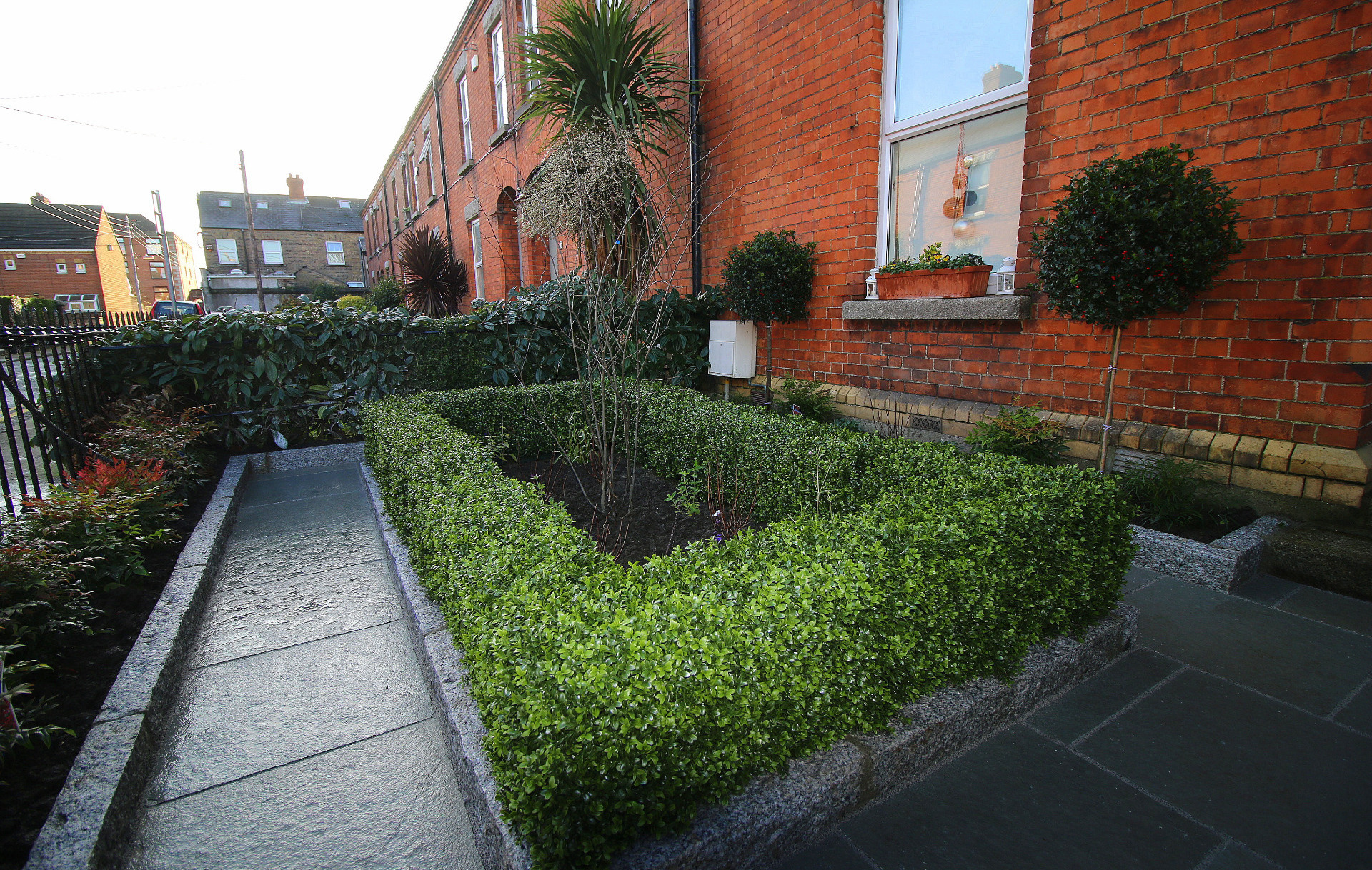 Synthetic Box Hedging | Synthetic Buxus Hedge | Best prices in Ireland at Owen Chubb GardenStudio