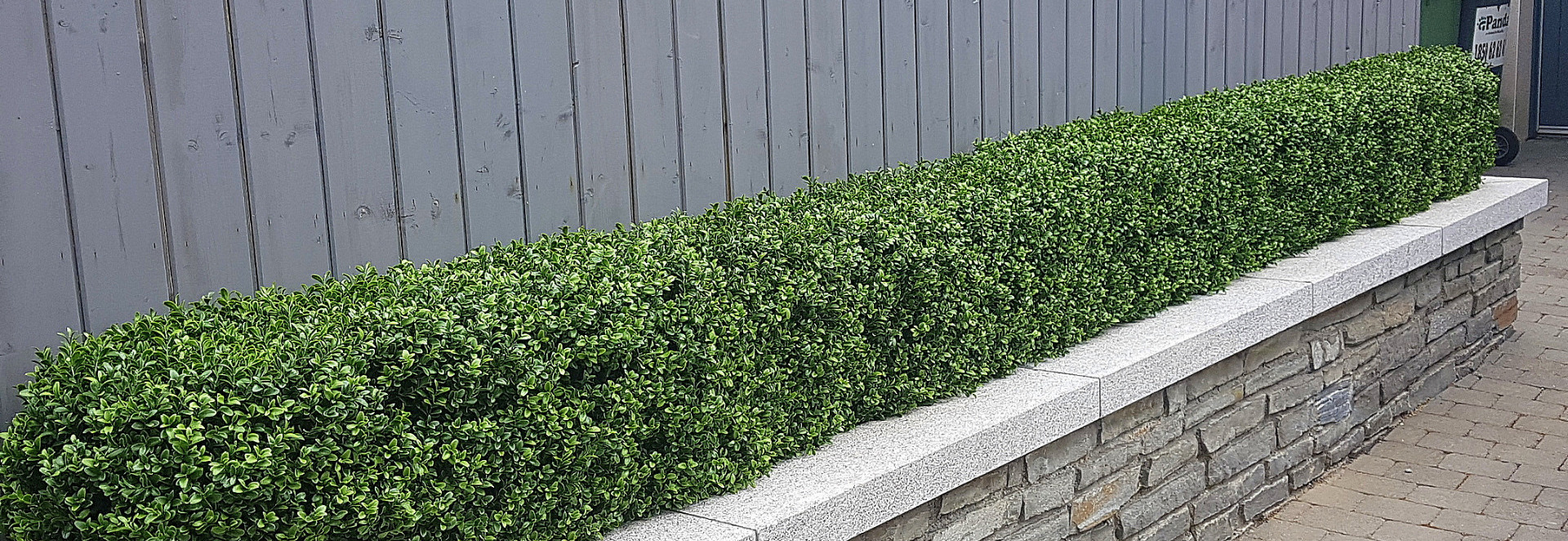 Artificial Boxwood Hedging , artificial Boxwood Hedge installed in Clonskeagh