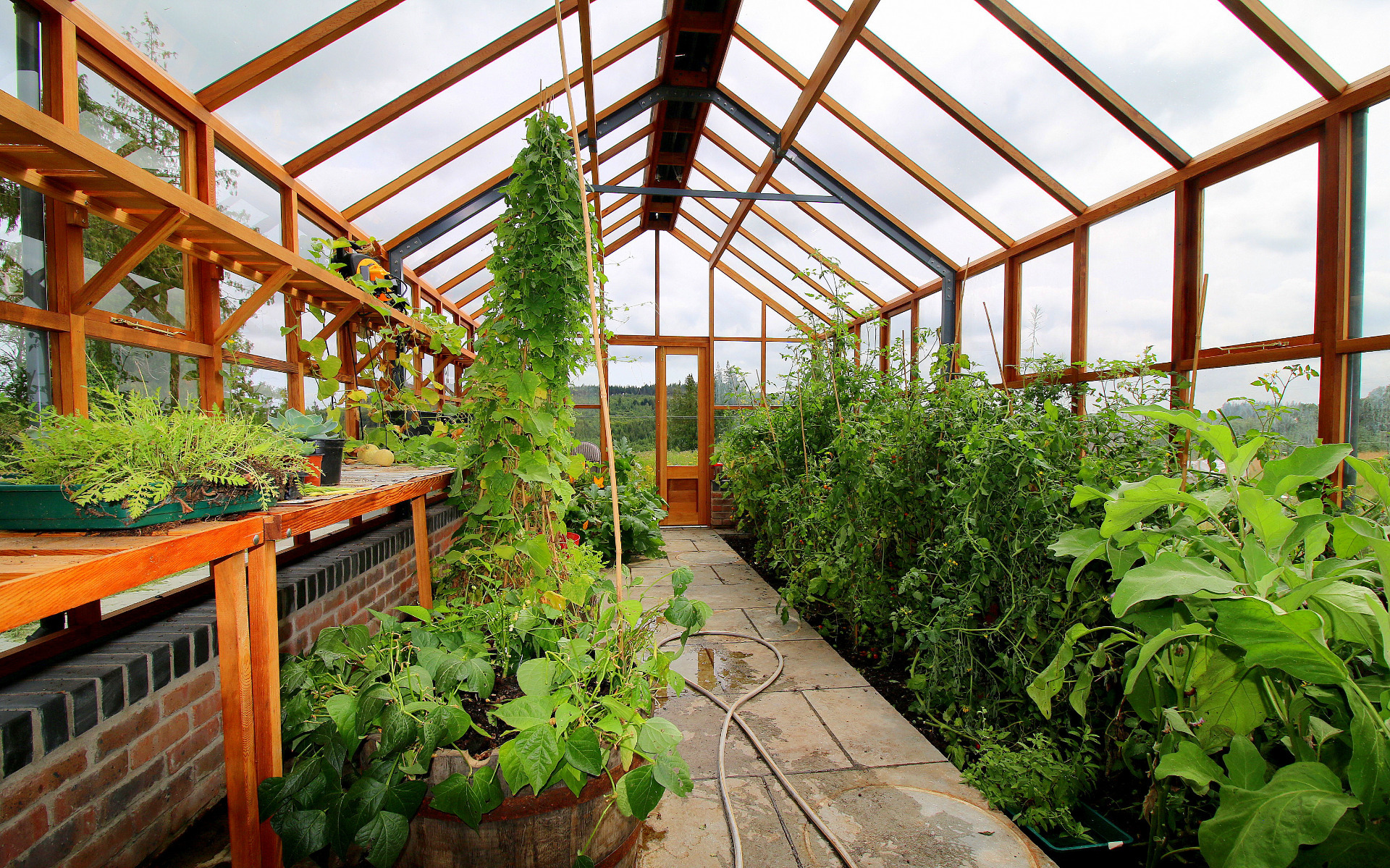 Plenty of room to grow and thrive in our Classic Twelve Timber Greenhouses | supplie d+ fitted by Owen Chubb Landscapers, Tel 087-2306128