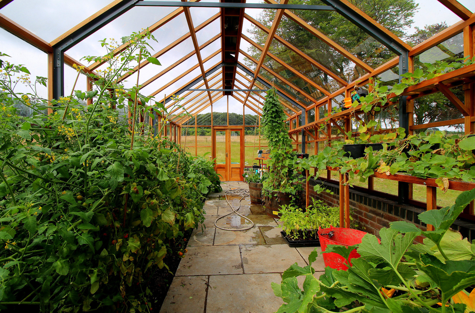 Gabriel Ash Classic Twelve Greenhouse in Roundwood , Co Wicklow | on dwarf wall , double door entrances and spacious greenhouse growing scope and capacity