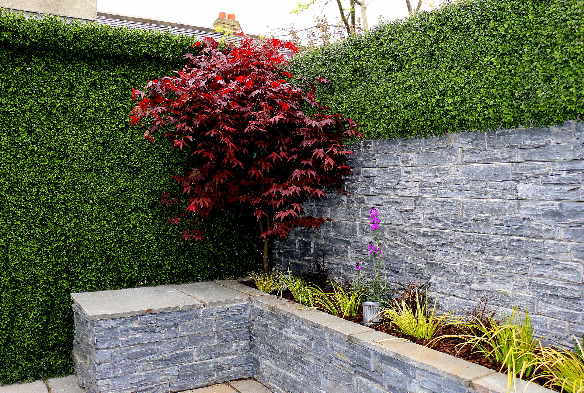 Boxwood Wall Cladding (Artificial Buxus)