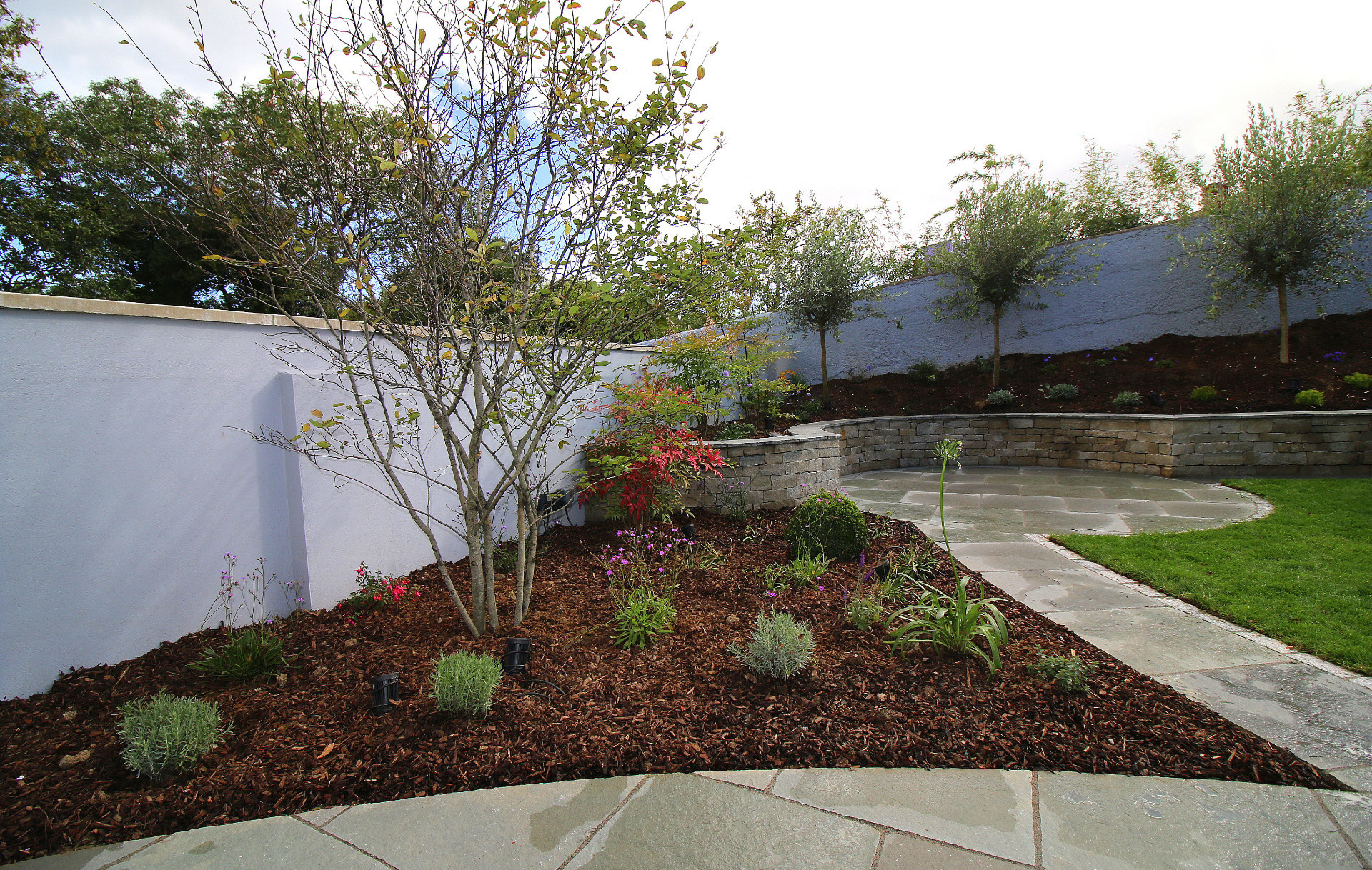Generous planting beds combine beautifully with the paved areas