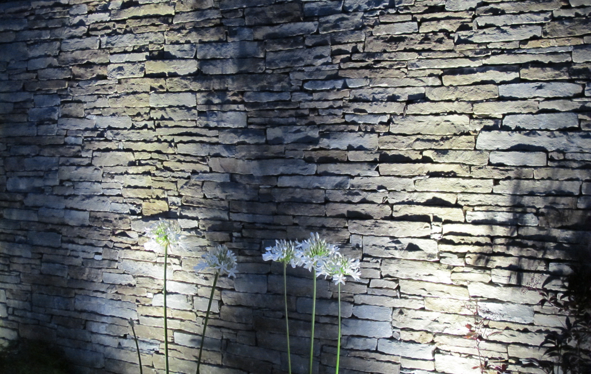 A feature wall with uplighters creates a stunning garden focal point |Garden Lighting supplied + fitted by Owen Chubb Garden Landscapers