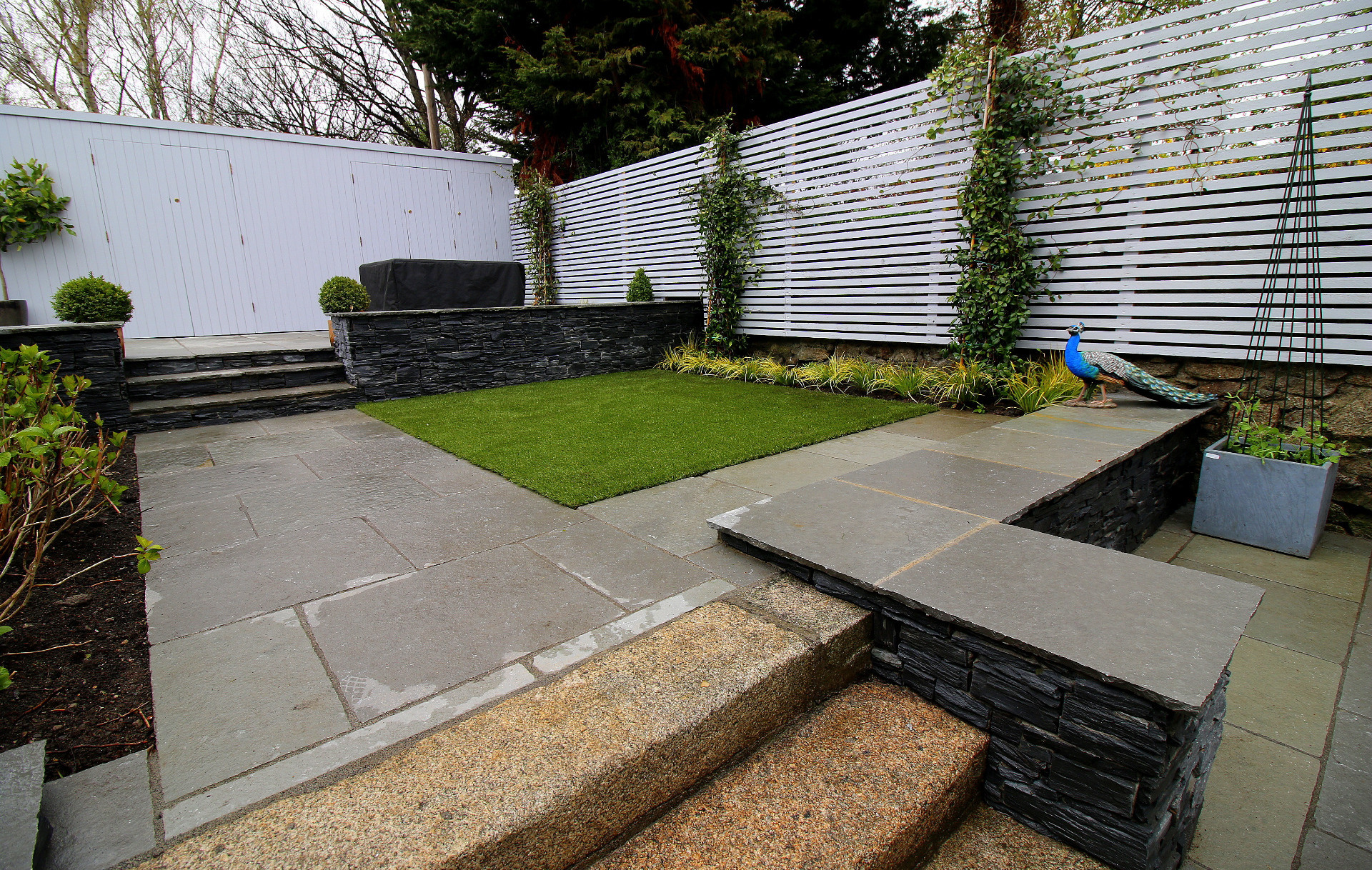 Garden Design & Landscaping in Rathmines, Dublin 6 | Owen Chubb