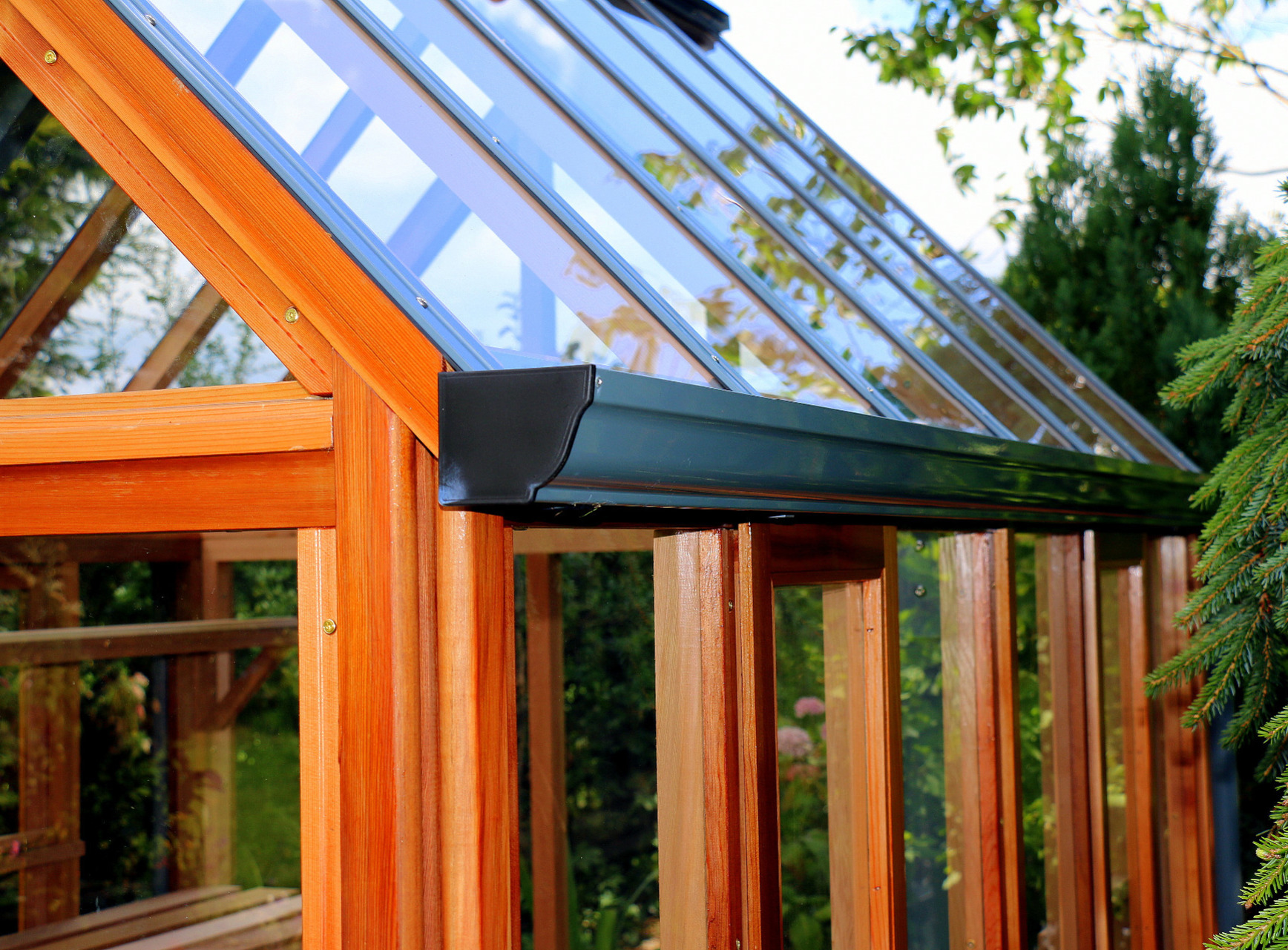 RHS Rosemoor Greenhouse with cedar base panels - traditional Victorian timber Greenhouse