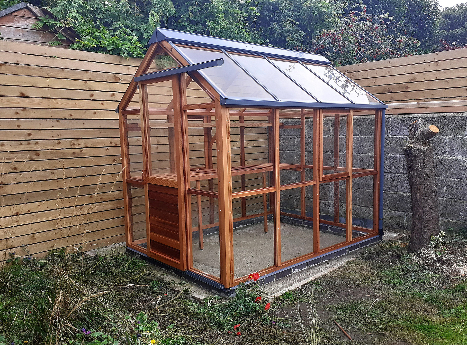 Gabriel Ash Classic Six Greenhouse (6ft x 8ft) with optional OSMO UV Timber Protection, supplied + fitted in Sandymount, Dublin 4.