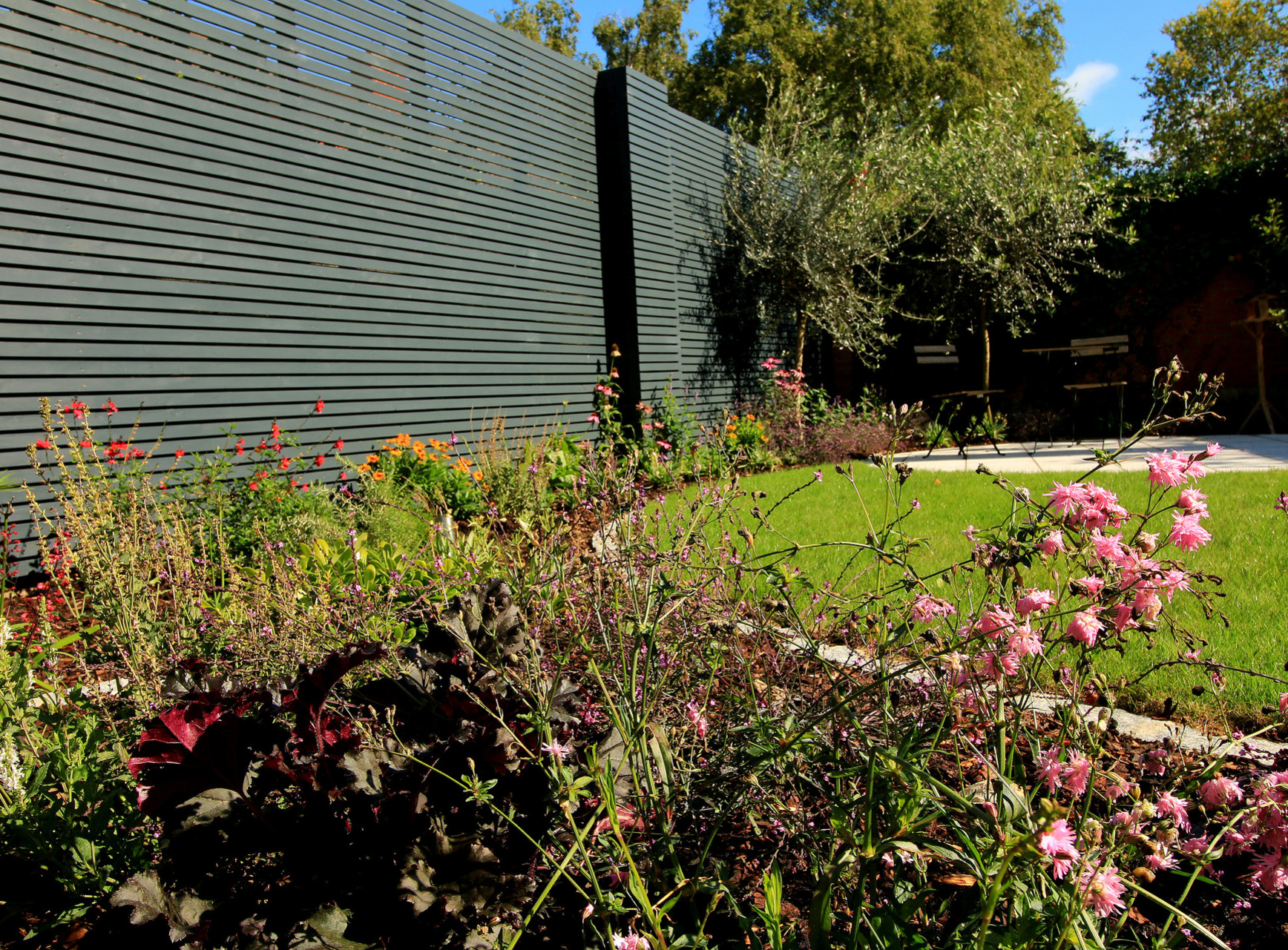 Stunning mixed planting scheme with custom horizontal slatted fencing in Blackrock, Co Dublin