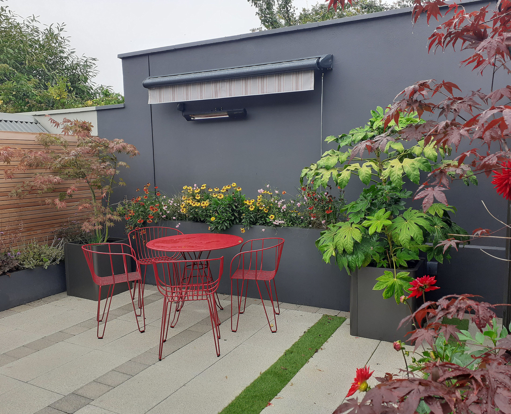 Planting Ideas for small spaces, to create colour, impact and stimulation | Dundrum, Dublin 18