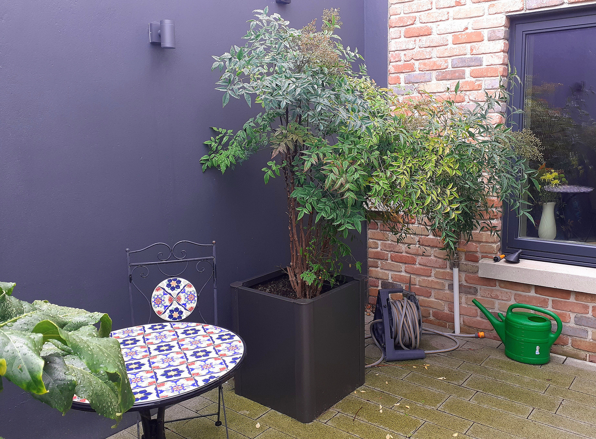 A compact patio garden space in Dundrum, Dublin 18, featuring a beautiful mixed planting (in raised beds & Biohort Planters). A broad selection of essential low maintenance favourites including Japanese Acers, Fatsia Japonica, Nandina as well as Herbaceous Perennials.