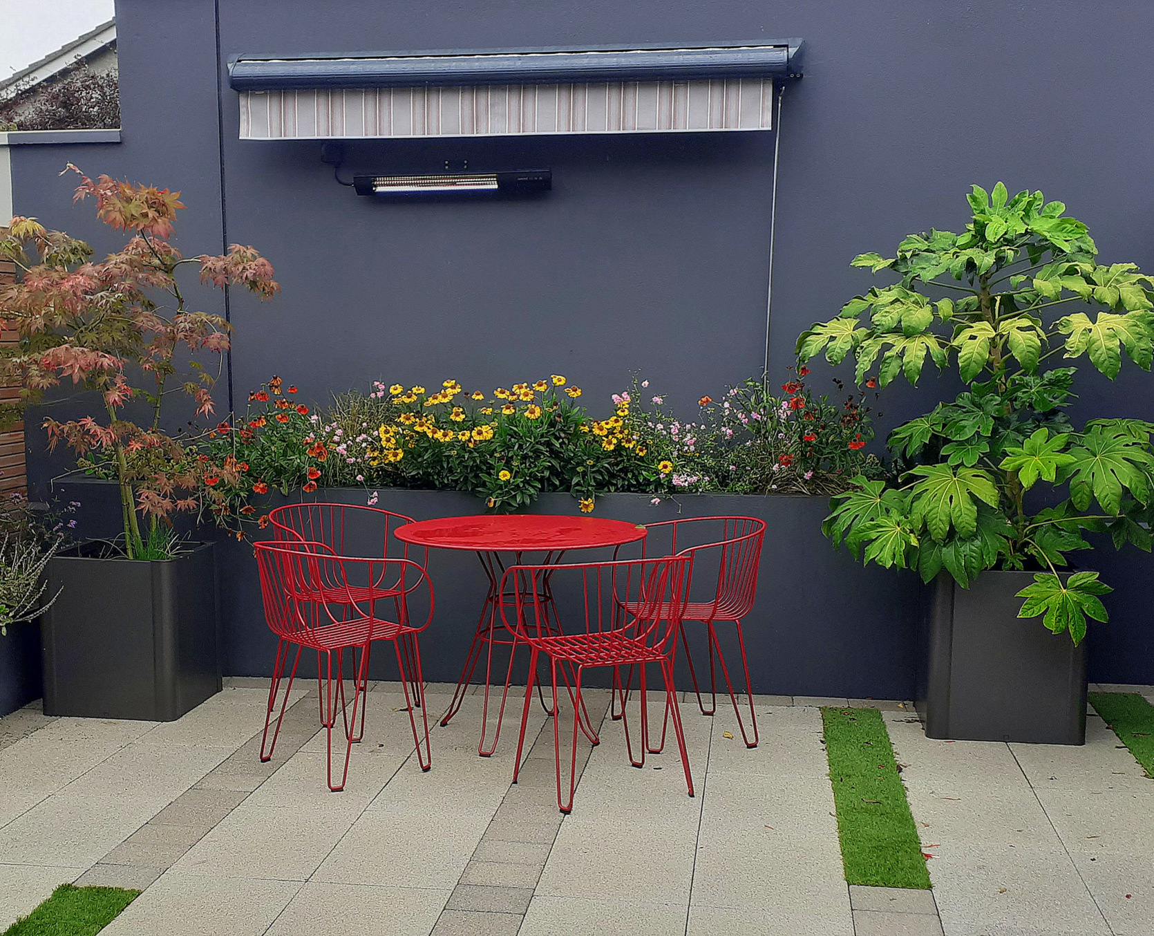 Planting Ideas for small spaces, to create colour, impact and stimulation | Dundrum, Dublin 18