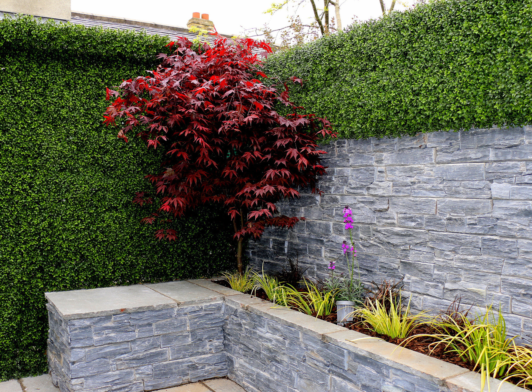Boxwood Cladding contrasting beautifully with stone cladding to create stunning garden wall results