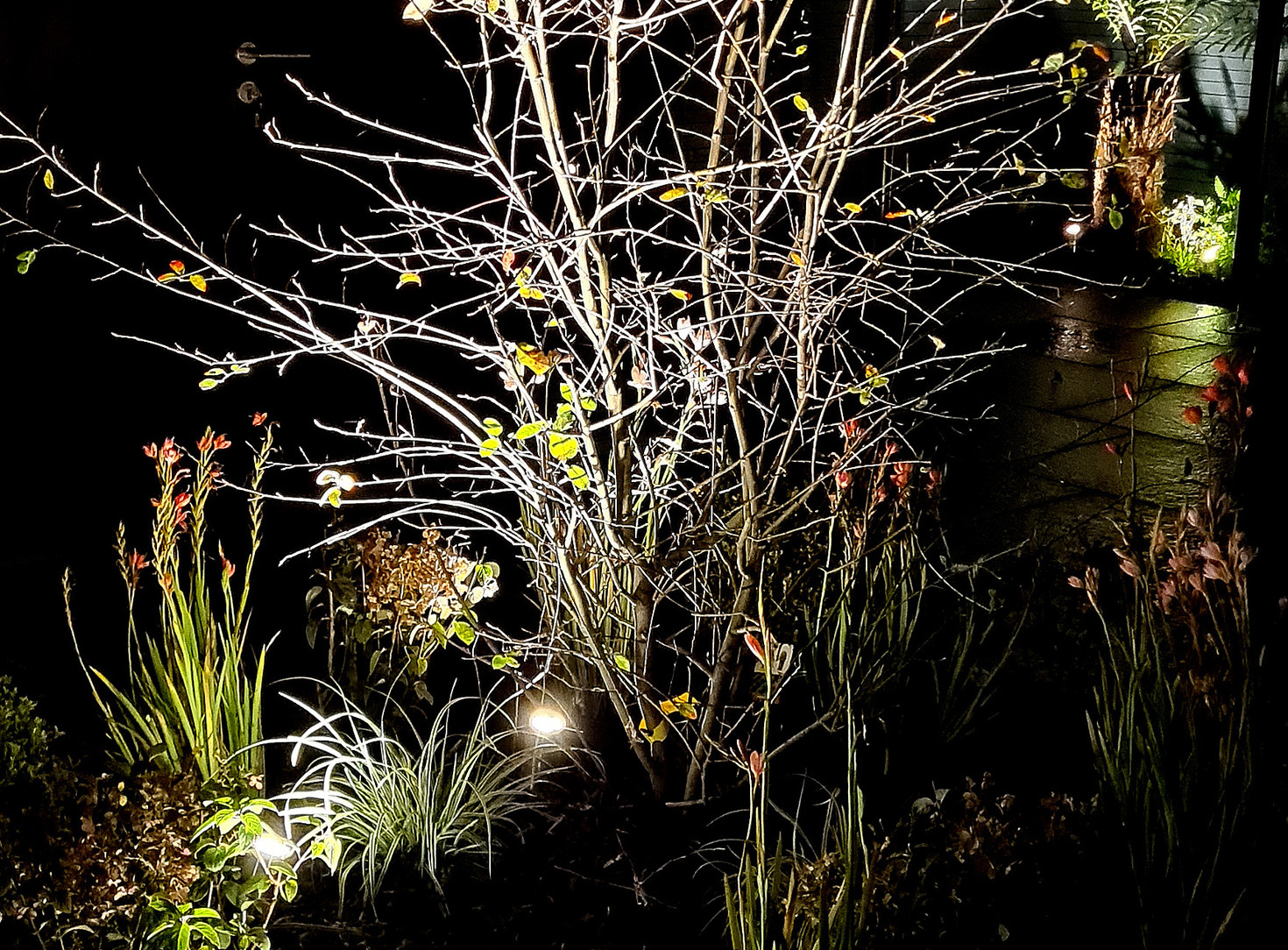 Stunning Outdoor LED Garden Lighting  | Supplied + Fitted in Dublin 3 by Owen Chubb Garden Landscapers