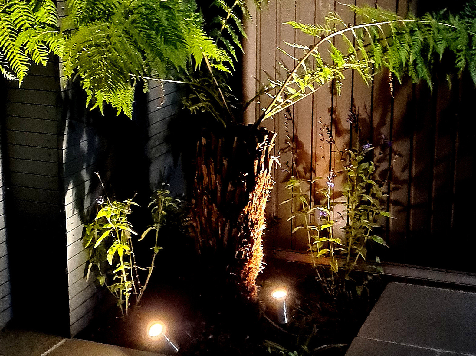 Outdoor LED Garden Lighting in Clontarf, Dublin, Ireland