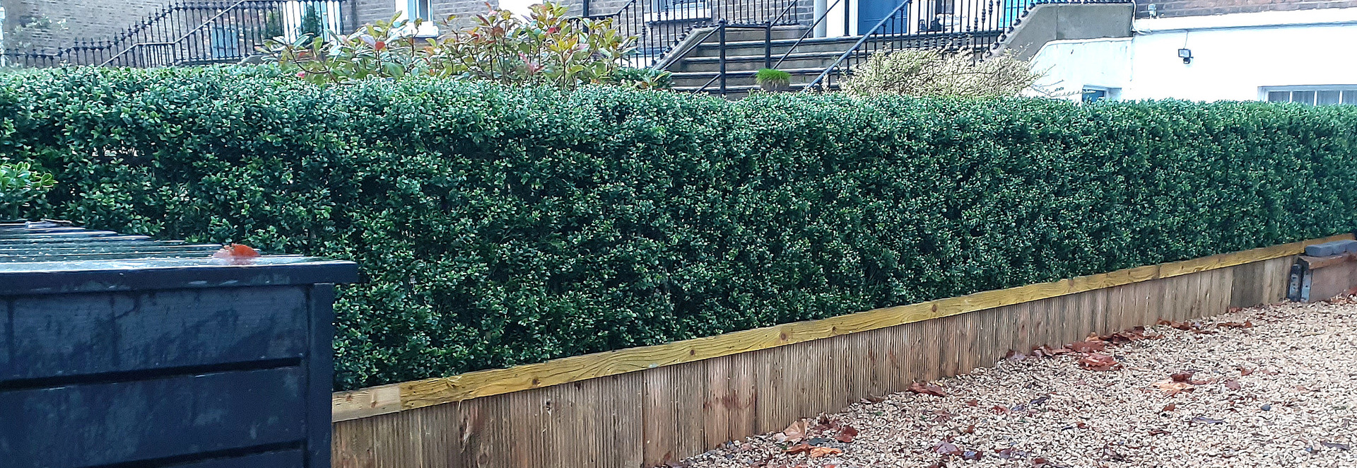 Large Outdoor Artificial Boxwood Hedging installation in Dublin 4  | Owen Chubb Landscapers -  Outdoor Boxwood Hedging Professionals. Tel 087-2306128