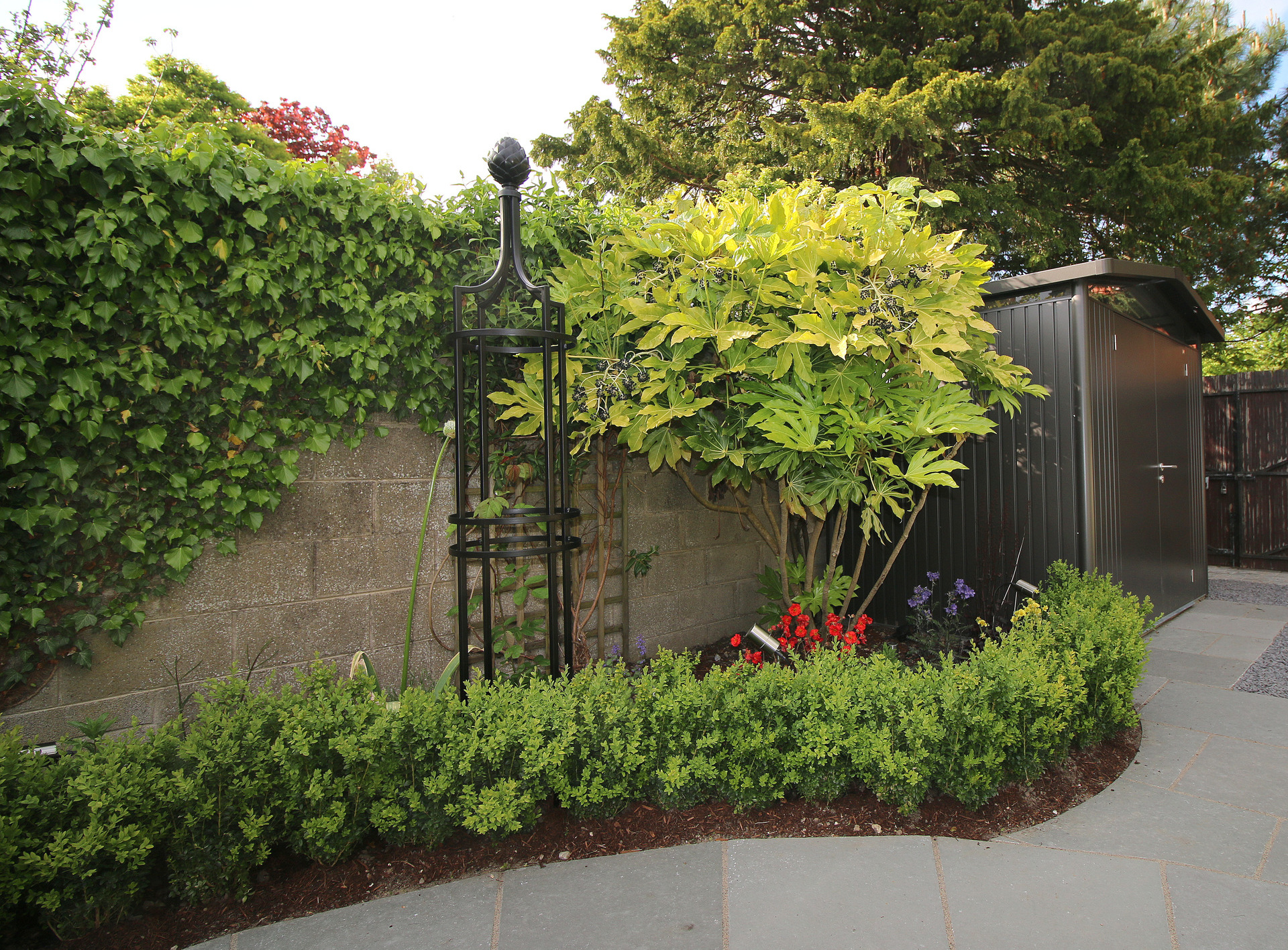 Garden Design & Planting in Clontarf, Dublin 3 featuring Buxus Hedging, Fatsia Japonica, Rose Obelisk, mixed Herbaceous Borders