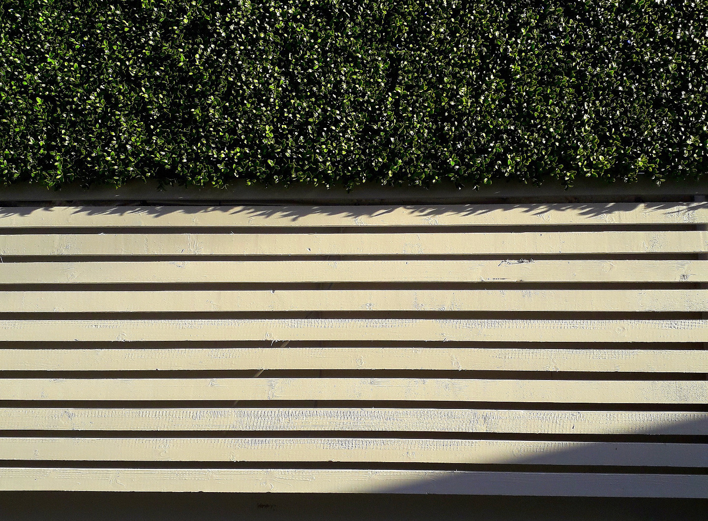 Perfect combo: Synthetic Boxwood Cladding & custom made timber slatted fencing screen | Ranelagh, Dublin 6