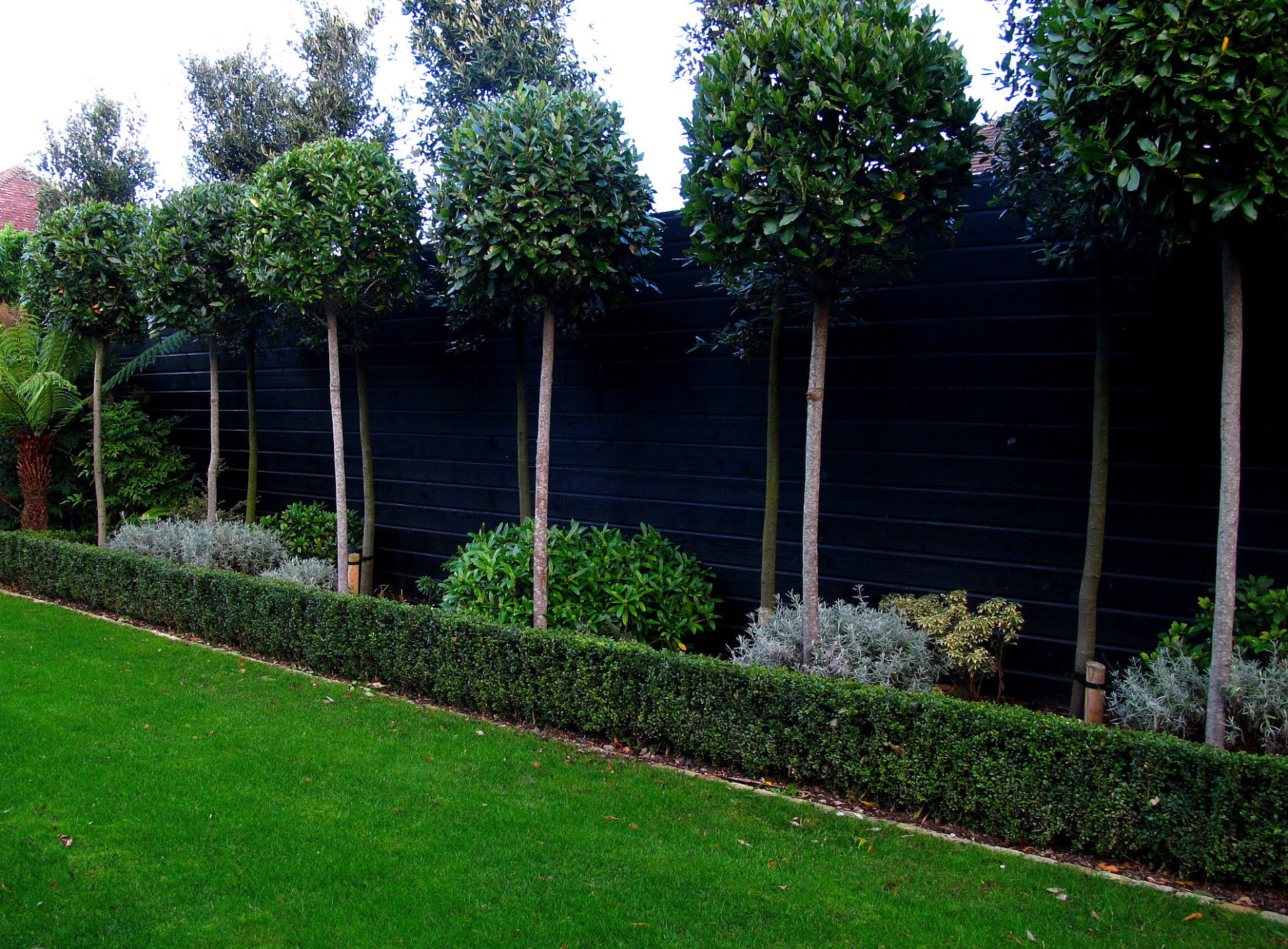 Bespoke Shiplap Garden Fencing with painted finish | Supplied + installed by Owen Chubb Garden Landscapers