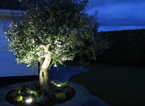 LED Outdoor Garden Lighting for Trees | Dublin 18