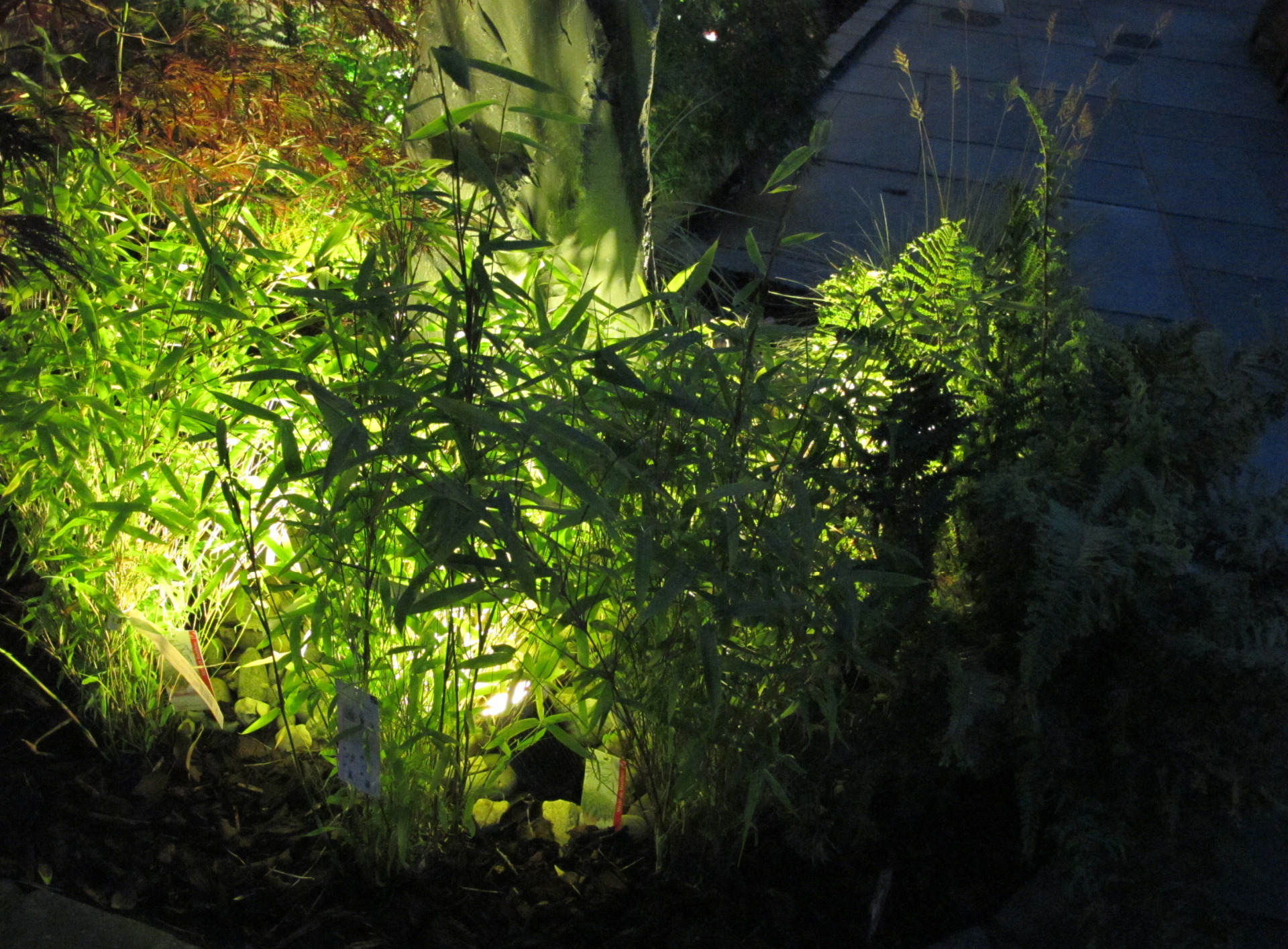 Using LED Garden Lighting to create stunning results in Dublin 18 | Owen Chubb