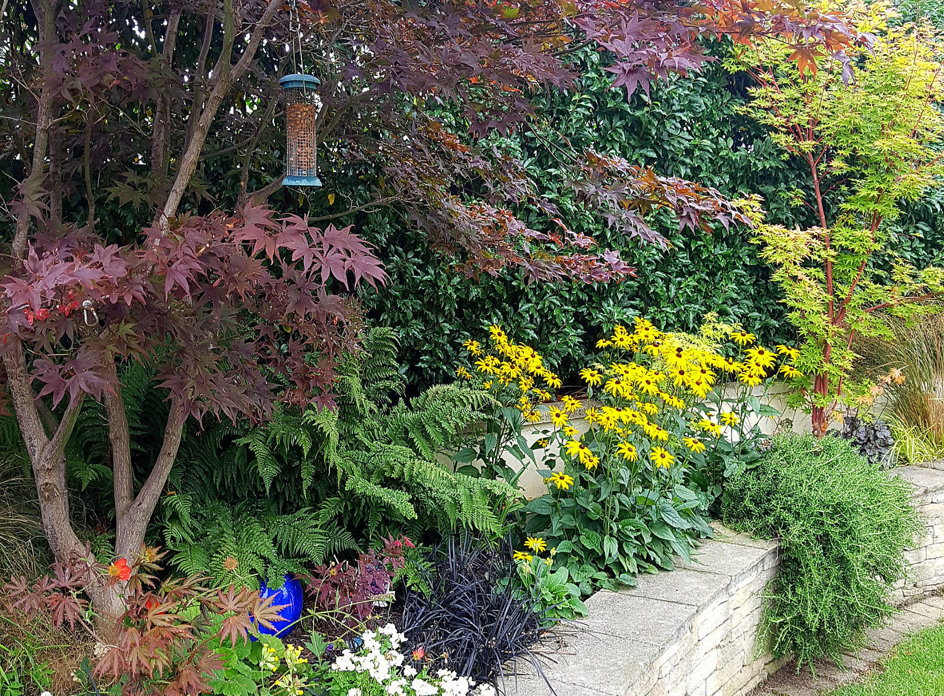 Low maintenance colourful planting scheme in Rathfarnham | Owen Chubb Garden Landscapers