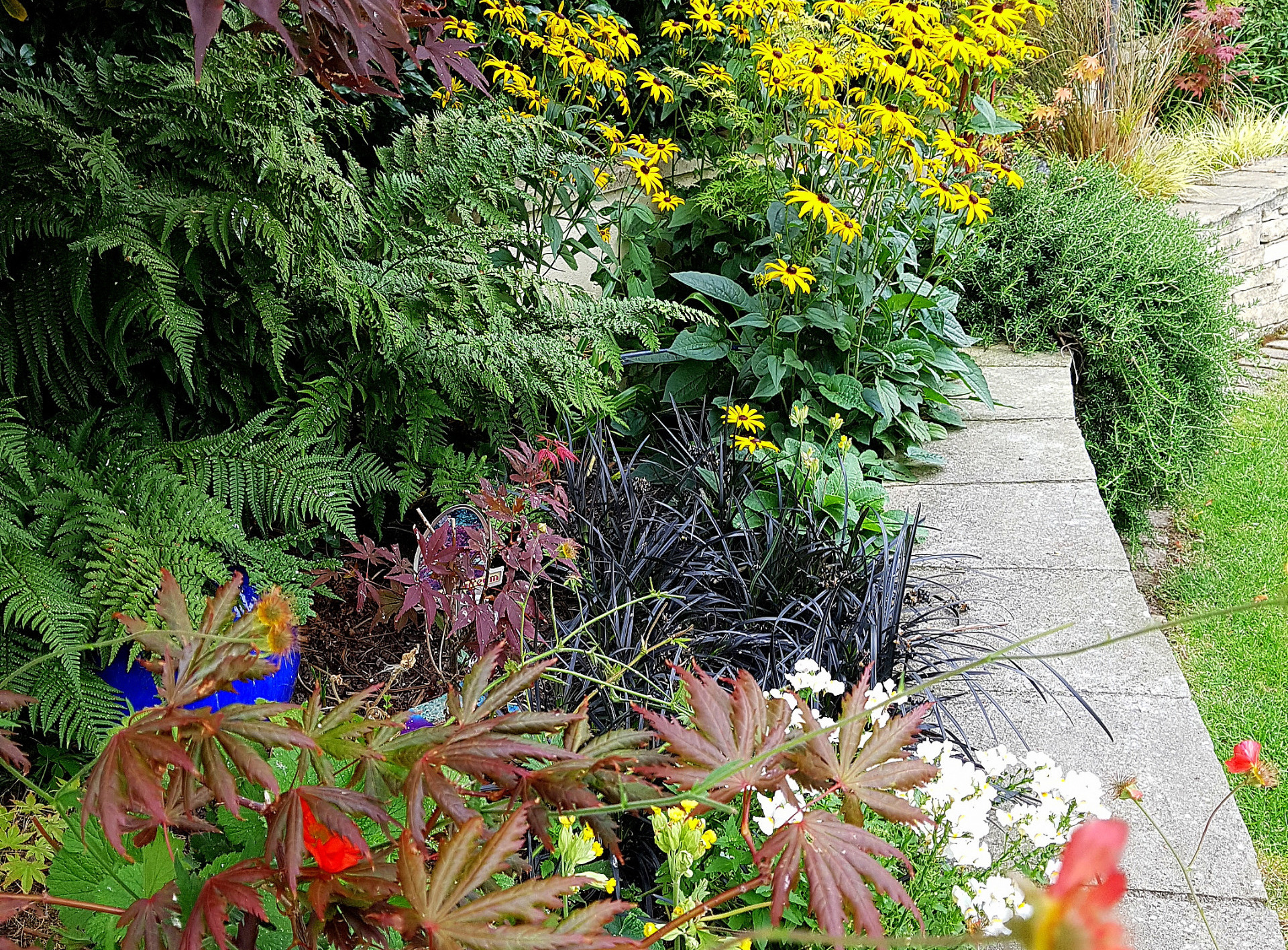 Colourful mixed Planting | Rathfarnham