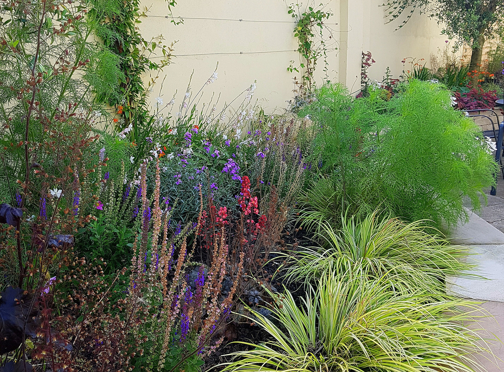 Low maintenance colourful planting scheme in Dundrum | Owen Chubb Garden Landscapers