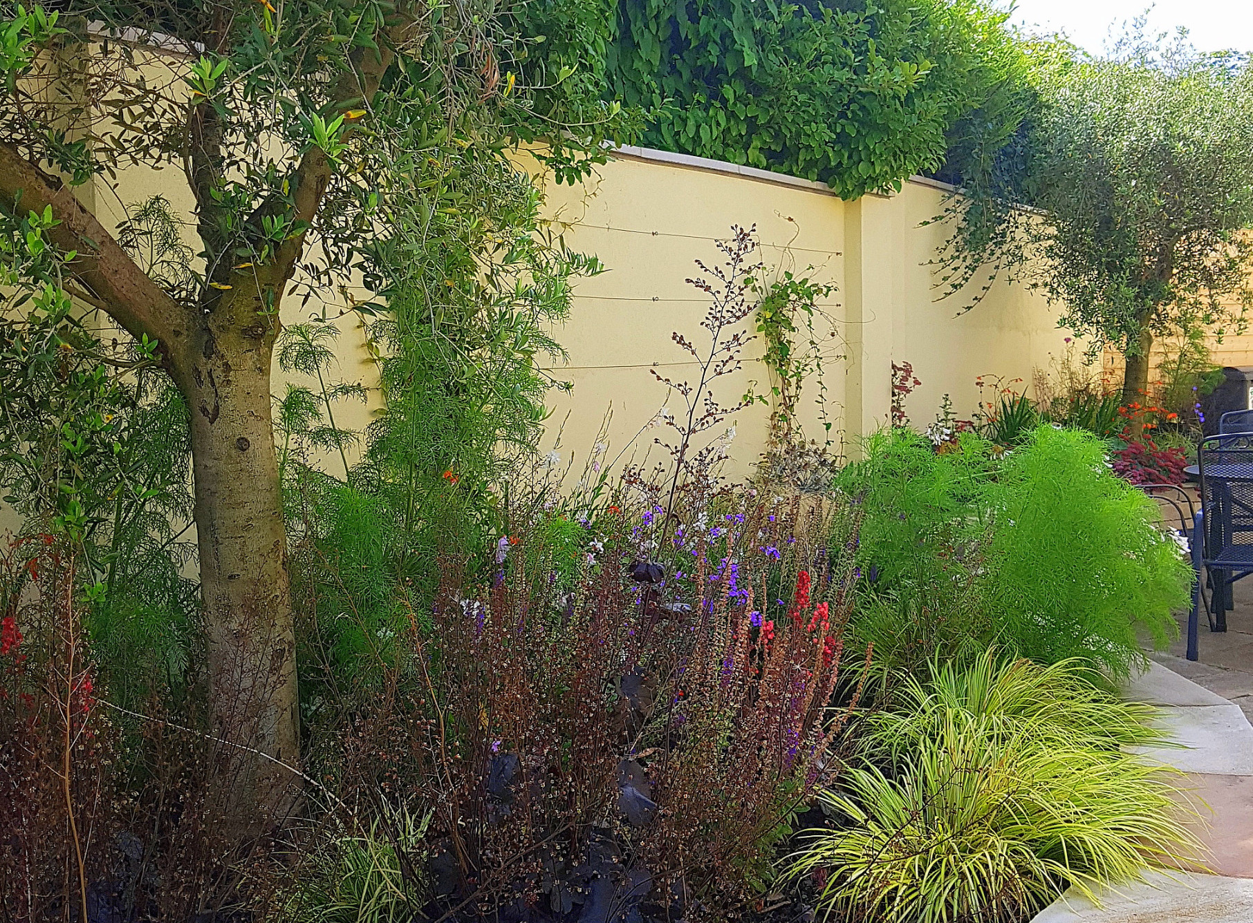 Low maintenance colourful planting scheme in Dundrum | Owen Chubb Garden Landscapers