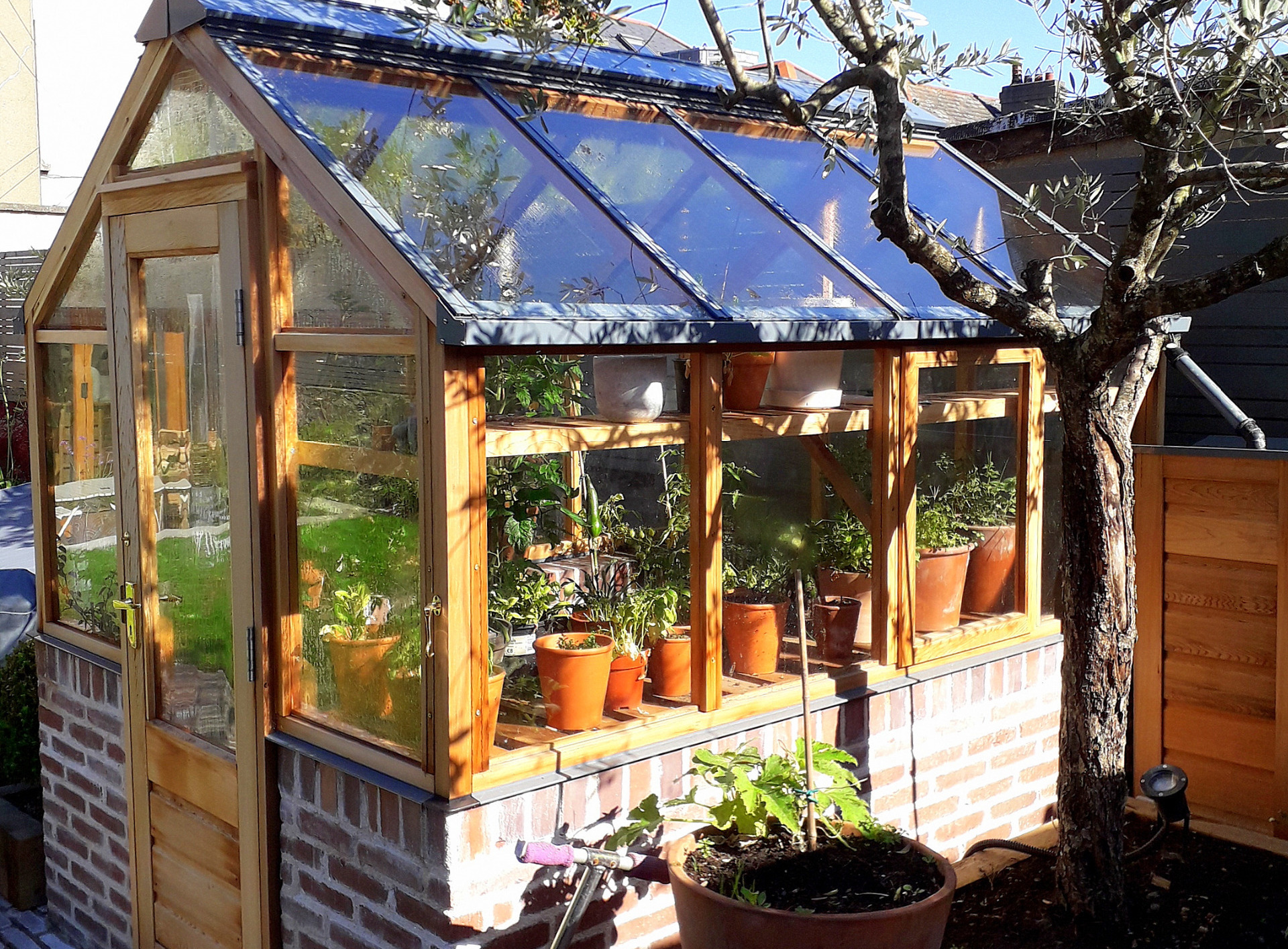 Gabriel Ash Classic Six Greenhouse (6 x 8) on low wall and fitted with hinged door, cedar water butt | Rathmines, Dublin 6 | the only timber greenhouses endorsed by the RHS | Owen Chubb  087-2306128