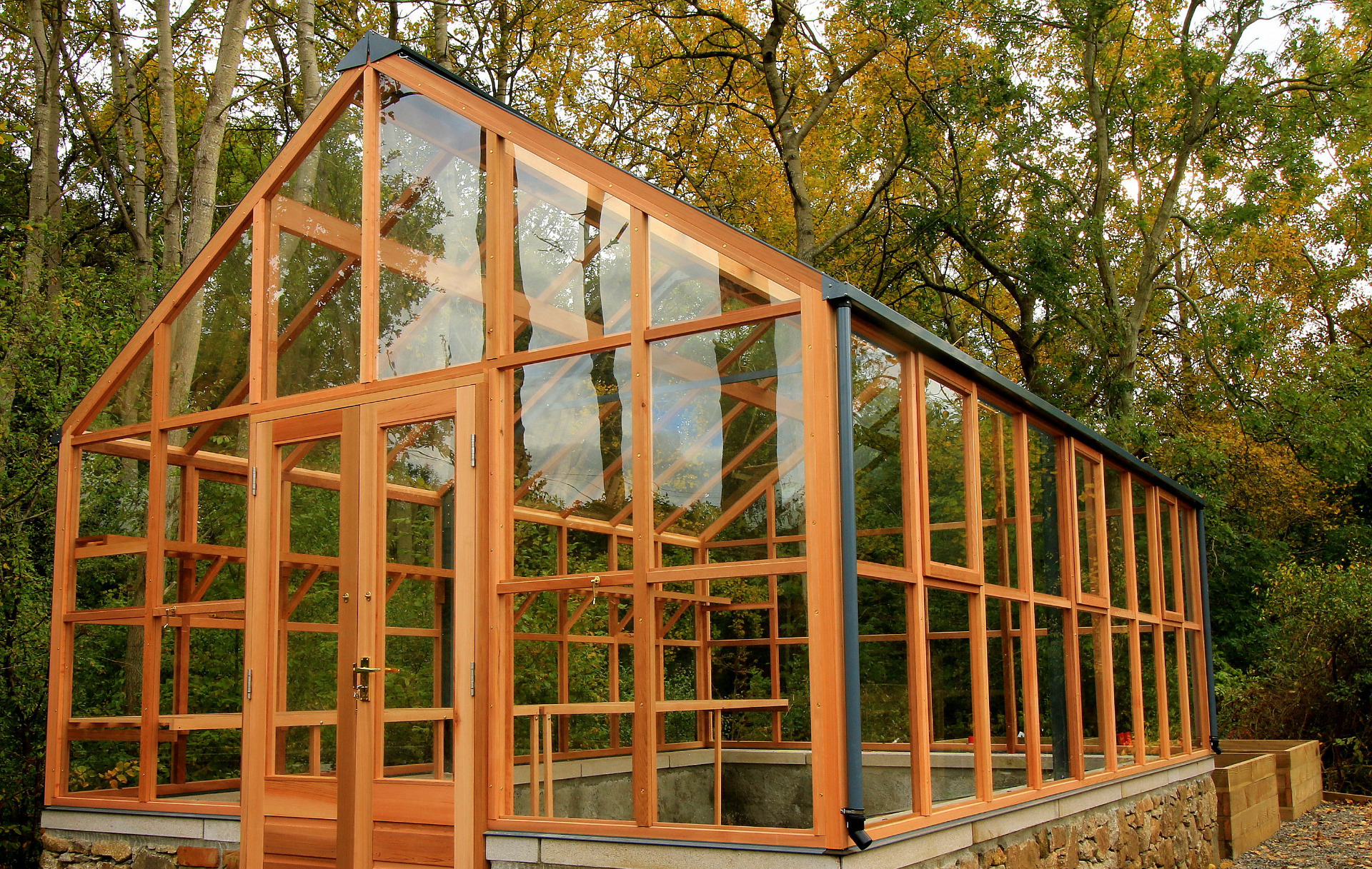 An outstanding Classic Timber Greenhouse on a stone wall