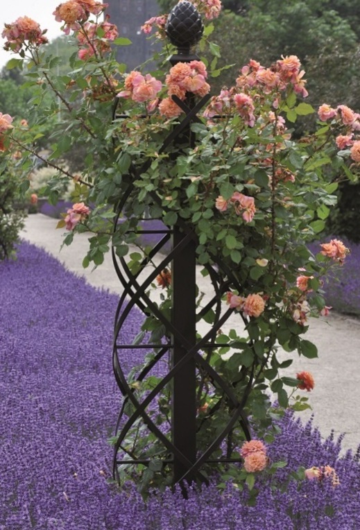 Classic Garden Elements Charleston Rose Pillar - a stunning garden feature for adding verticla interest to the planted border.