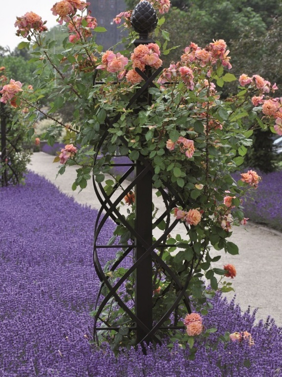 Classic Garden Elements Charleston Rose Pillar - a stunning garden feature for adding verticla interest to the planted border.